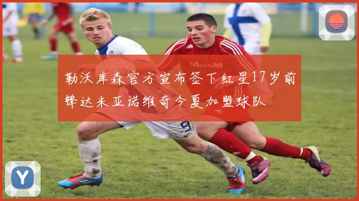 勒沃库森官方宣布签下红星17岁前锋达米亚诺维奇今夏加盟球队